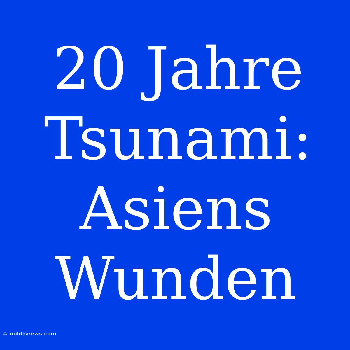 20 Jahre Tsunami: Asiens Wunden