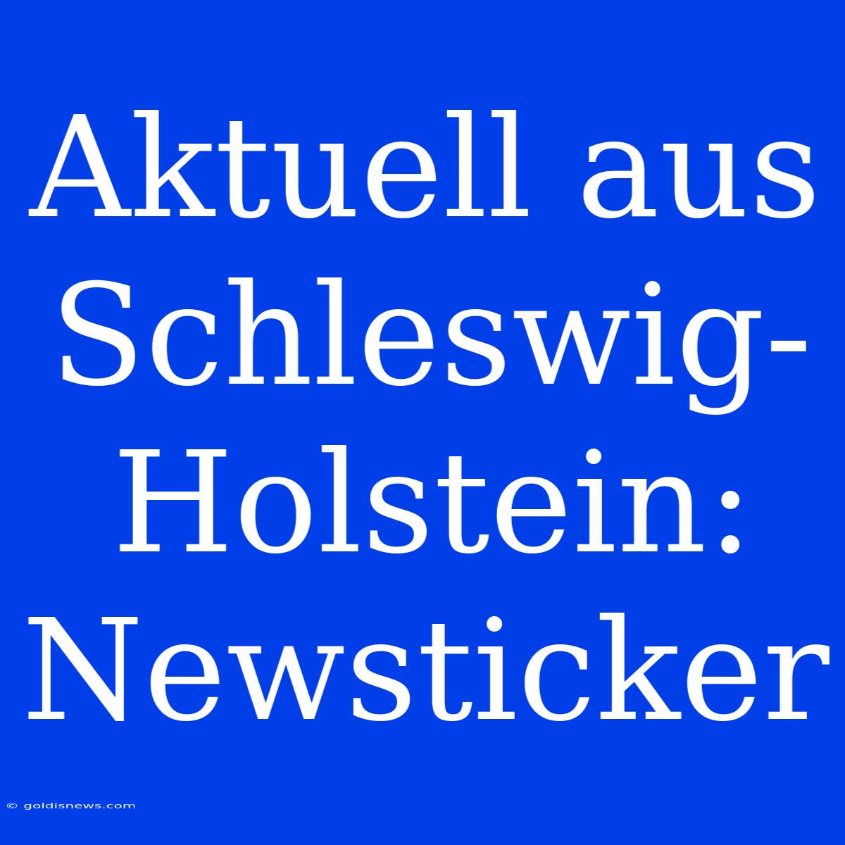 Aktuell Aus Schleswig-Holstein: Newsticker