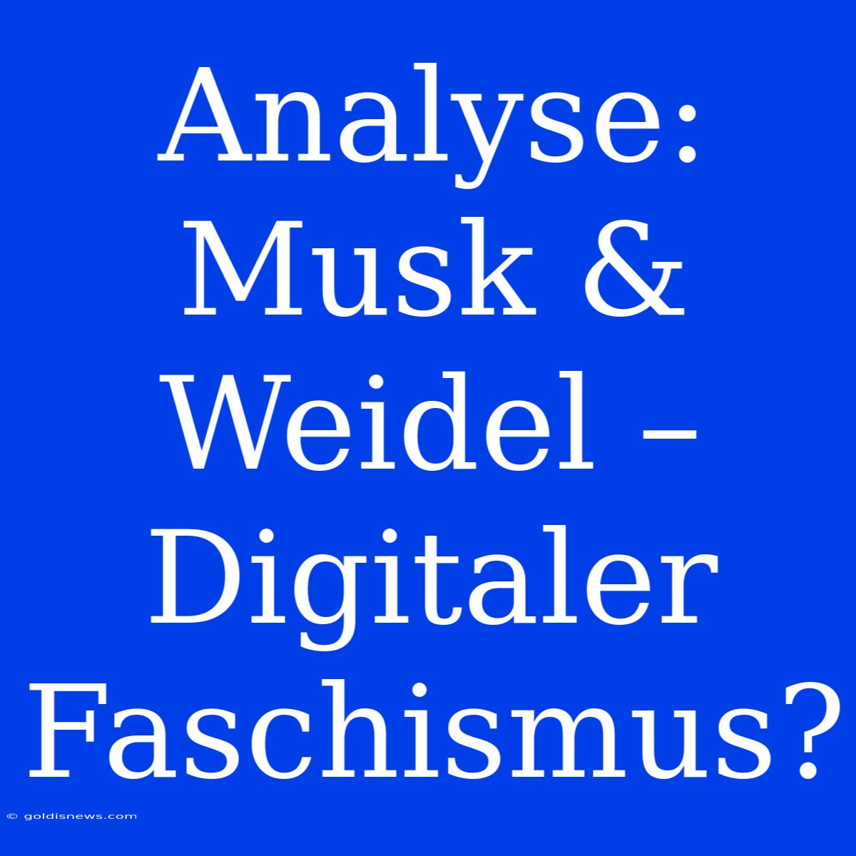 Analyse: Musk & Weidel – Digitaler Faschismus?