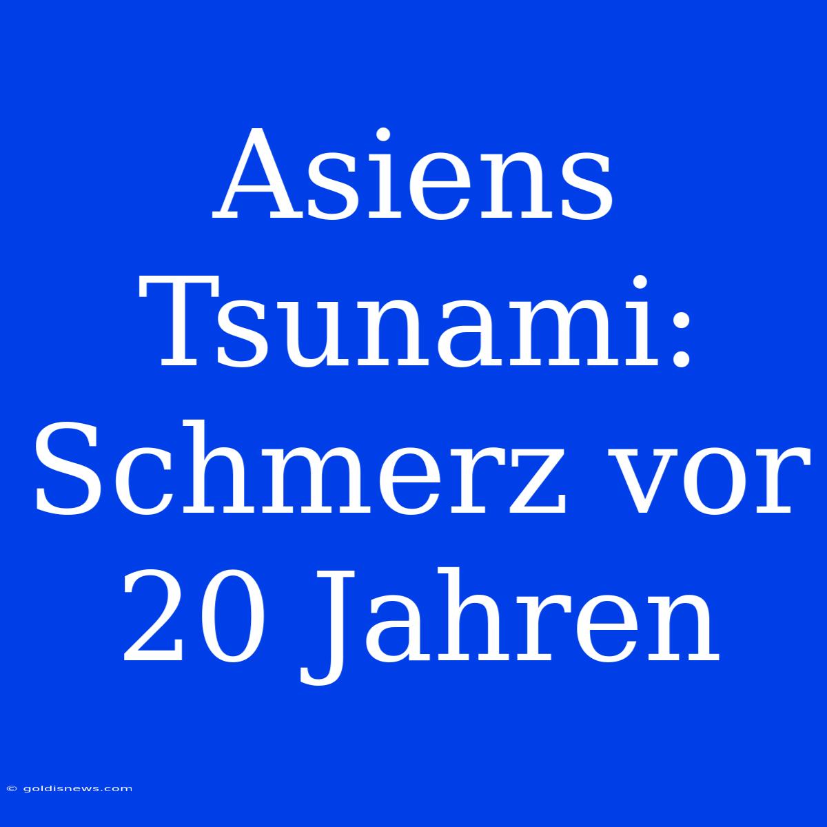 Asiens Tsunami: Schmerz Vor 20 Jahren