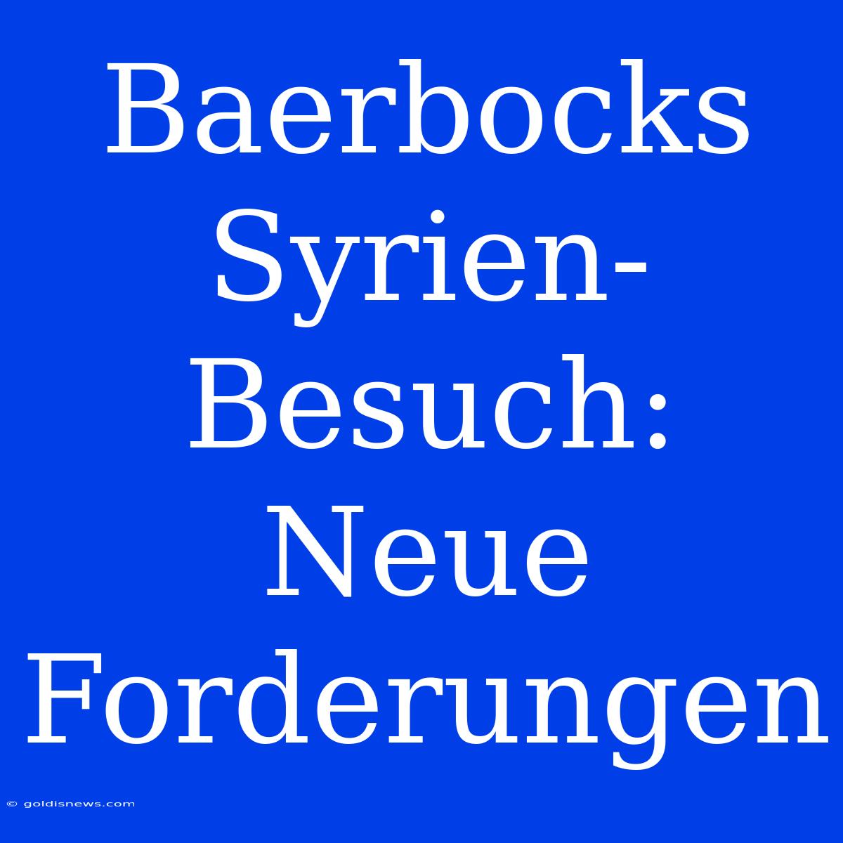 Baerbocks Syrien-Besuch: Neue Forderungen