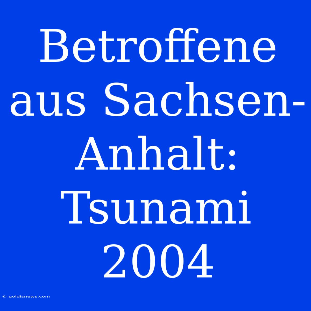 Betroffene Aus Sachsen-Anhalt: Tsunami 2004