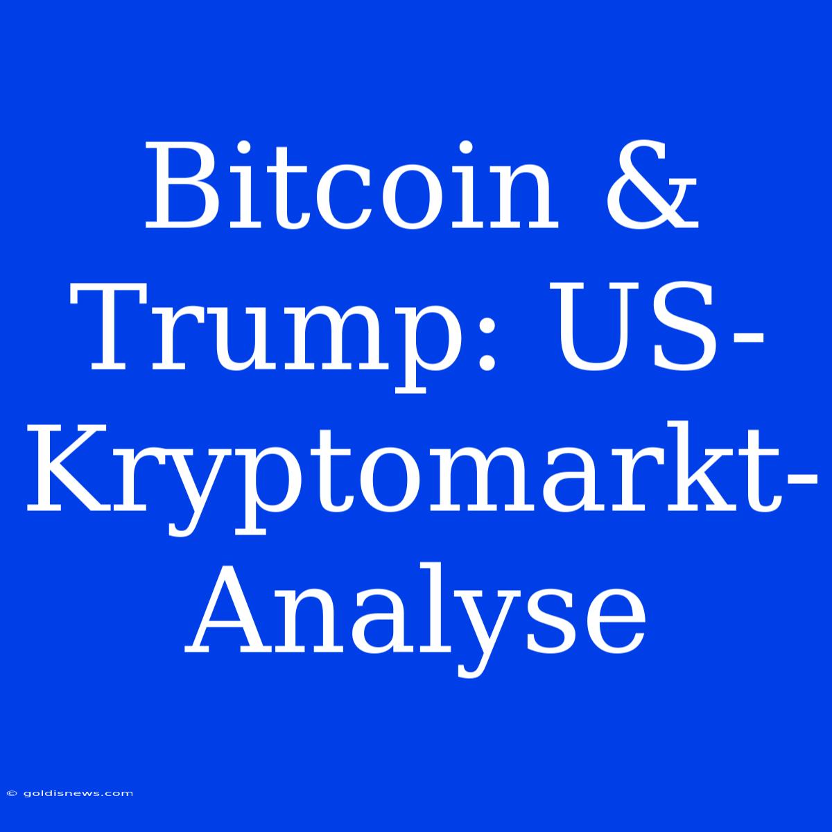 Bitcoin & Trump: US-Kryptomarkt-Analyse