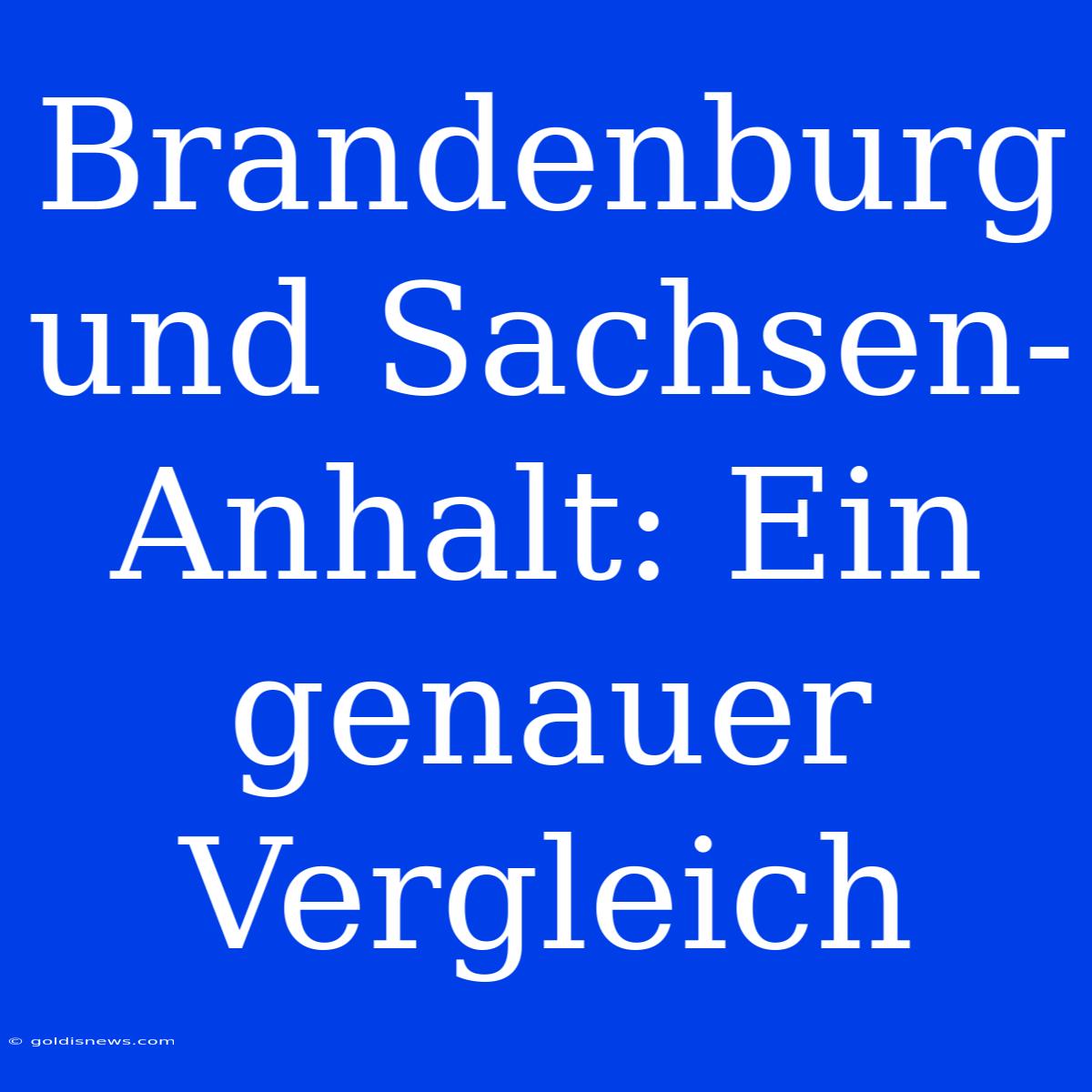 Brandenburg Und Sachsen-Anhalt: Ein Genauer Vergleich