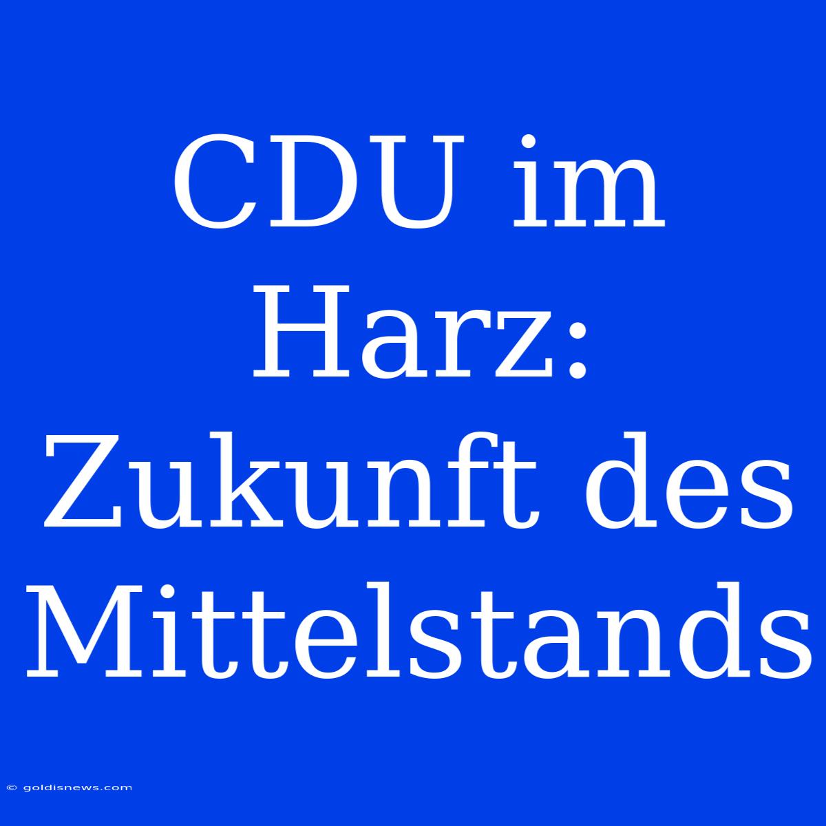 CDU Im Harz: Zukunft Des Mittelstands