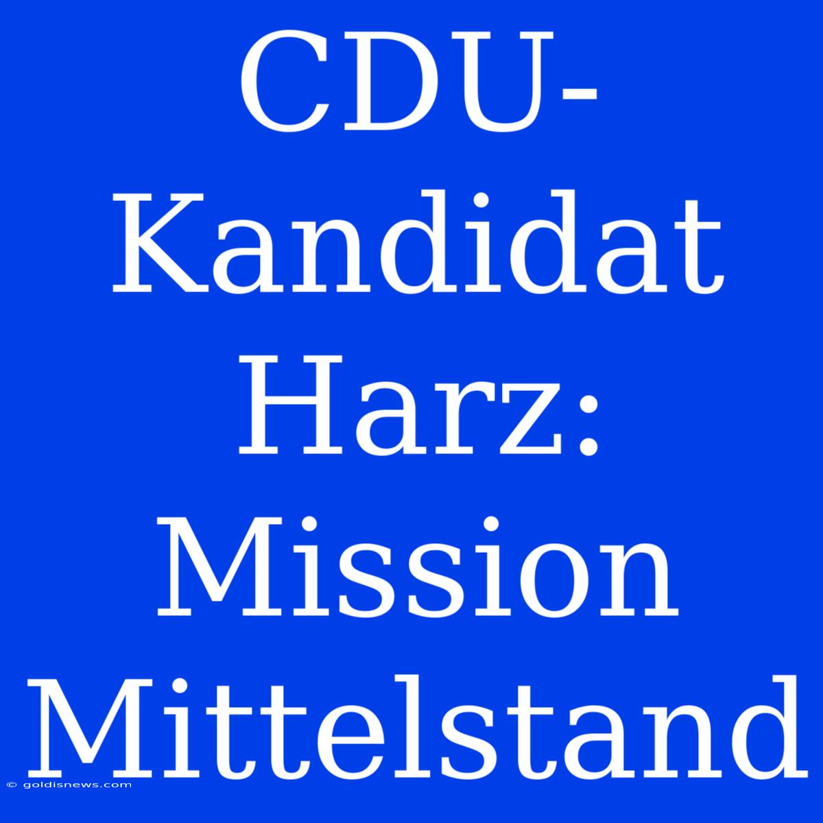 CDU-Kandidat Harz: Mission Mittelstand