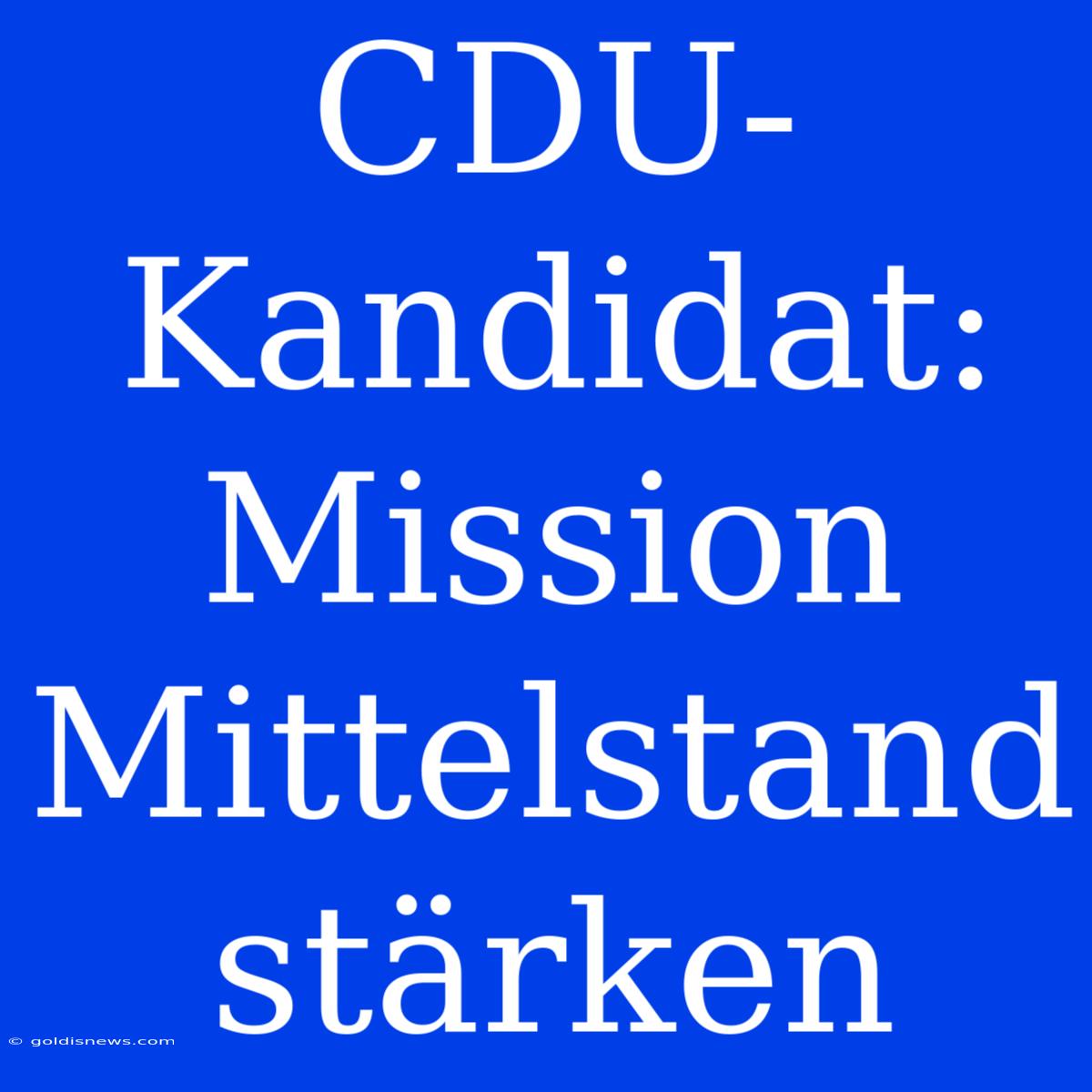 CDU-Kandidat: Mission Mittelstand Stärken