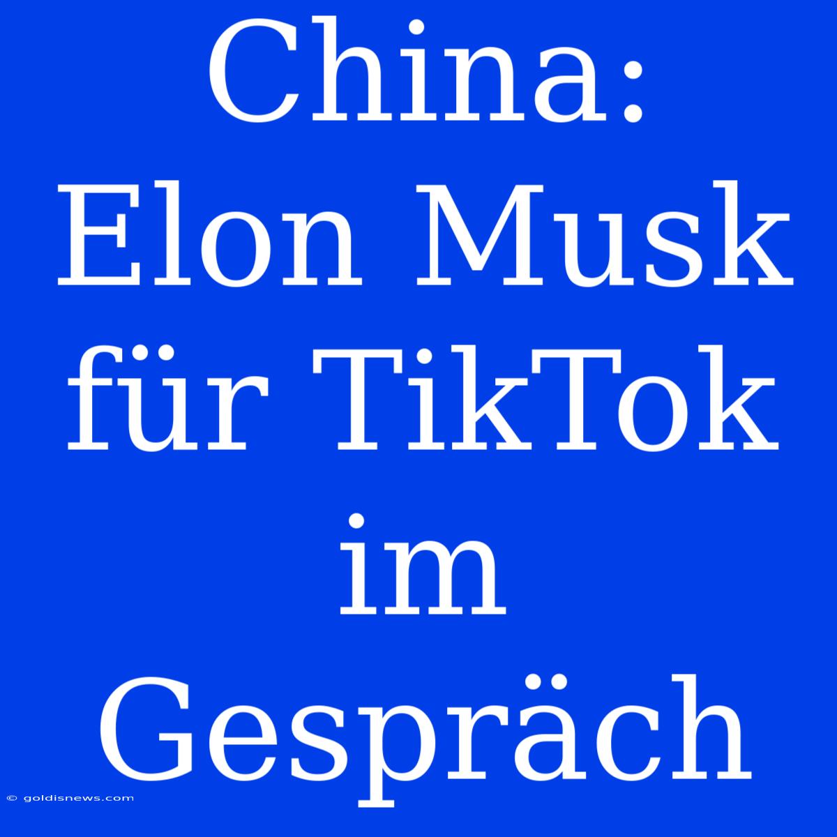 China: Elon Musk Für TikTok Im Gespräch