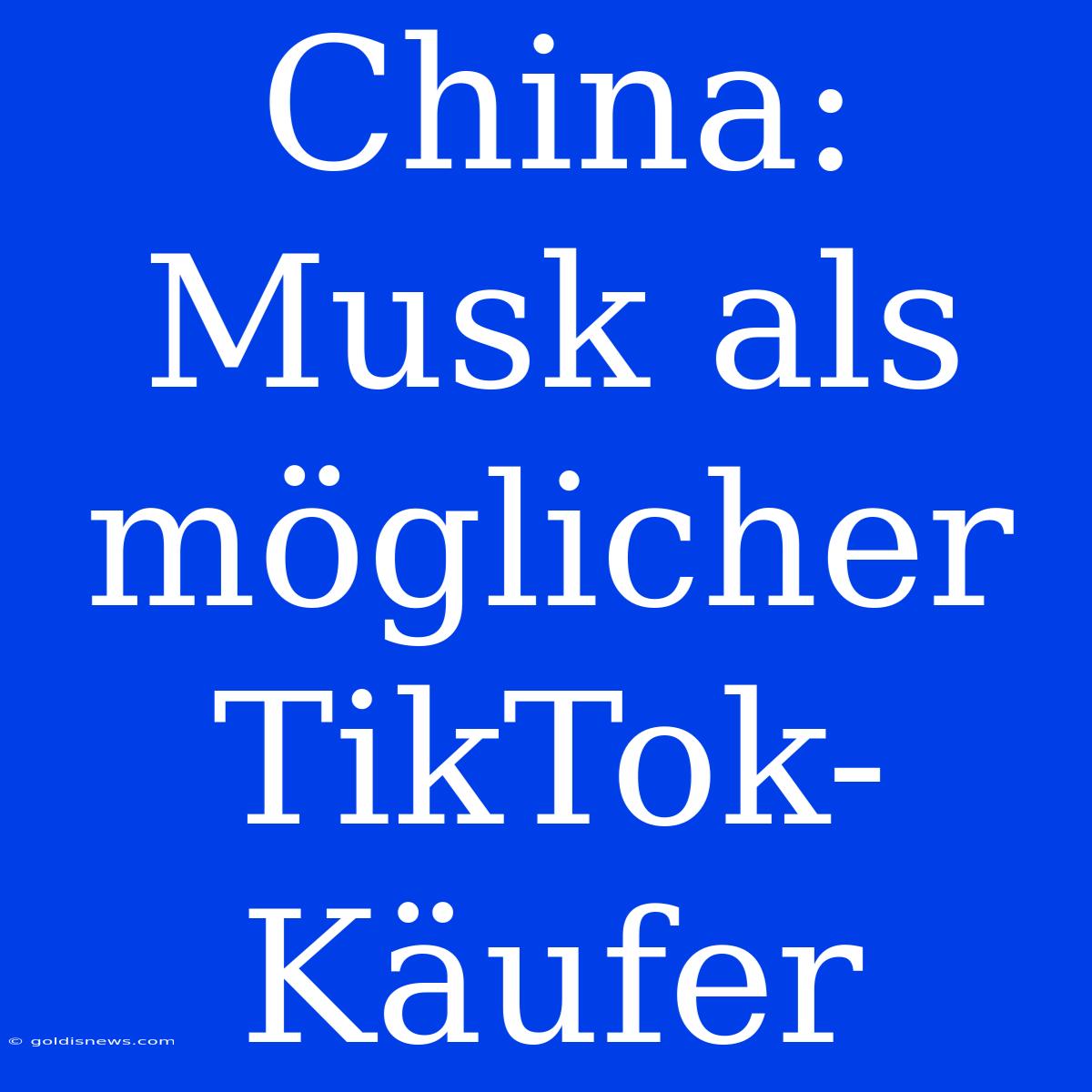 China: Musk Als Möglicher TikTok-Käufer