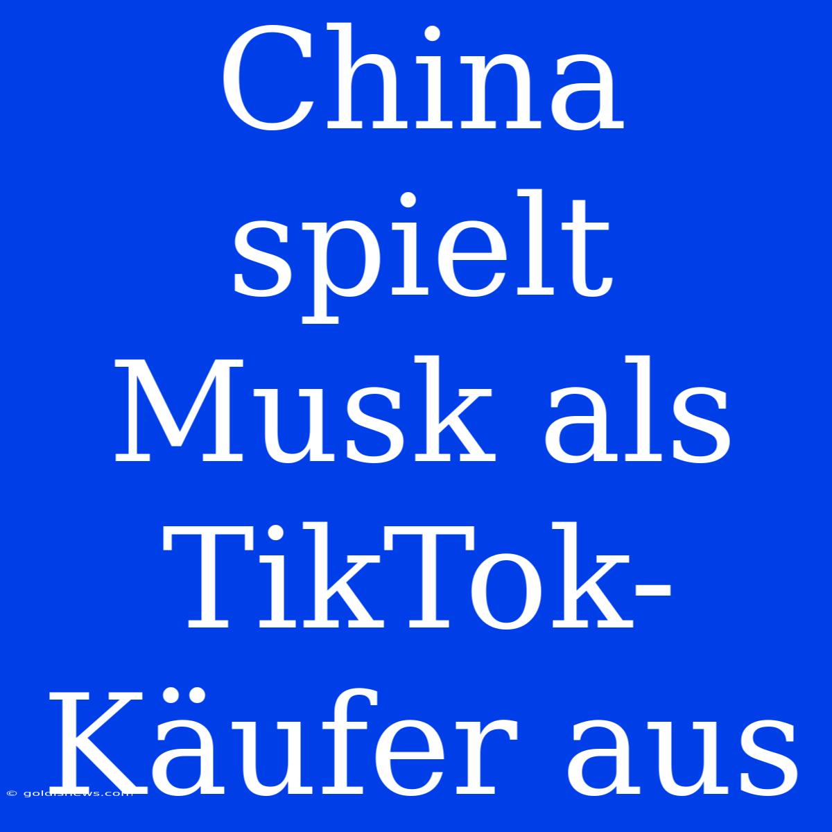 China Spielt Musk Als TikTok-Käufer Aus