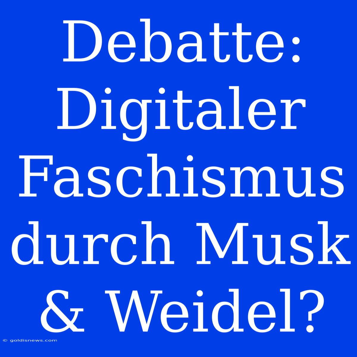 Debatte: Digitaler Faschismus Durch Musk & Weidel?