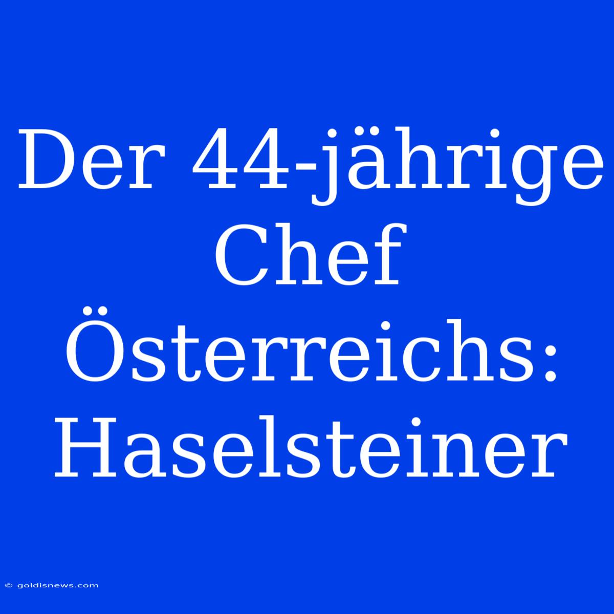 Der 44-jährige Chef Österreichs: Haselsteiner