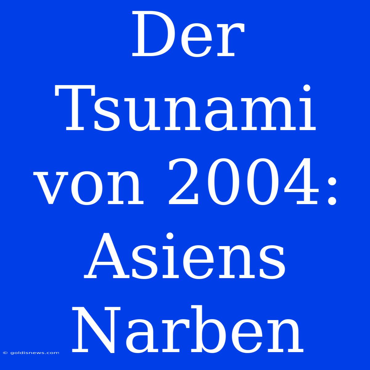 Der Tsunami Von 2004: Asiens Narben