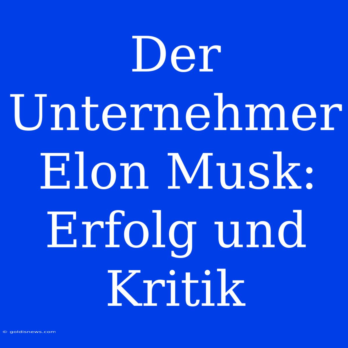 Der Unternehmer Elon Musk:  Erfolg Und Kritik