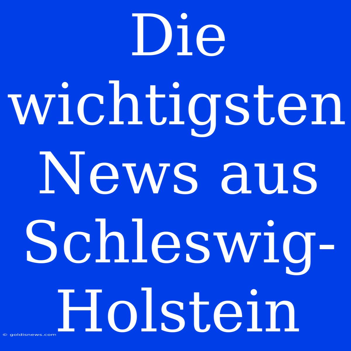 Die Wichtigsten News Aus Schleswig-Holstein