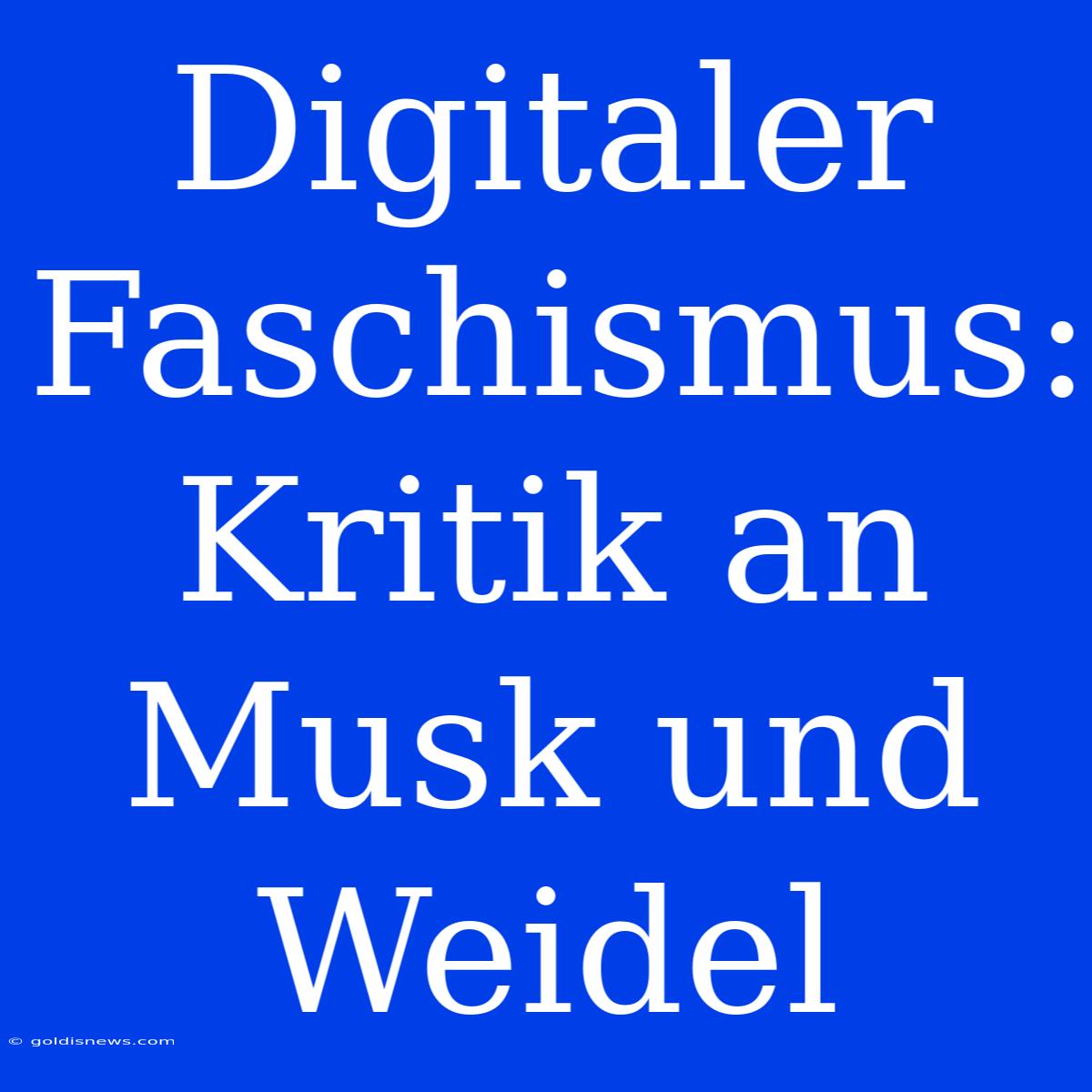 Digitaler Faschismus: Kritik An Musk Und Weidel