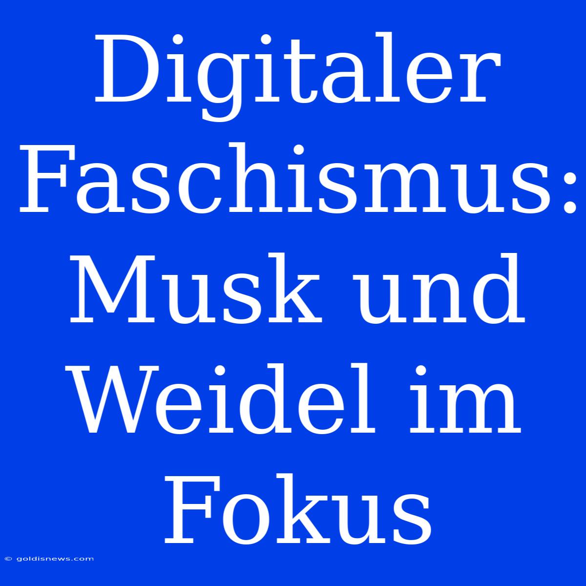 Digitaler Faschismus: Musk Und Weidel Im Fokus