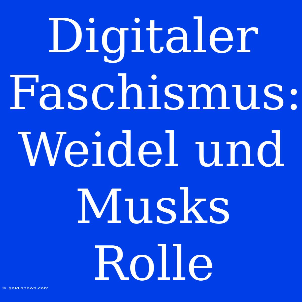 Digitaler Faschismus: Weidel Und Musks Rolle