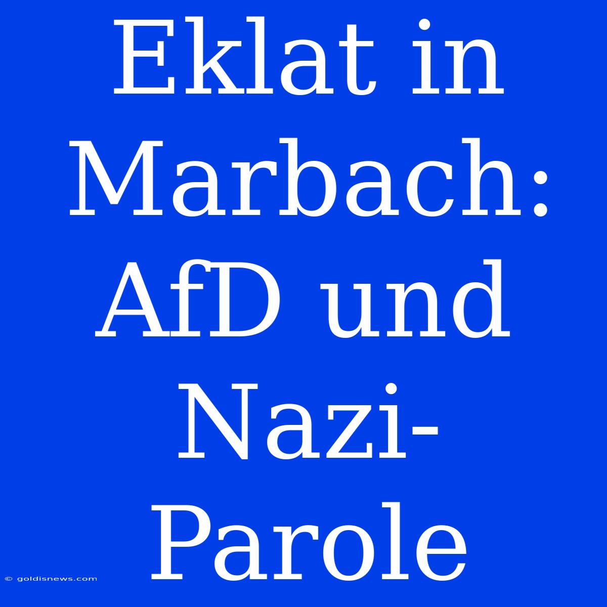 Eklat In Marbach: AfD Und Nazi-Parole