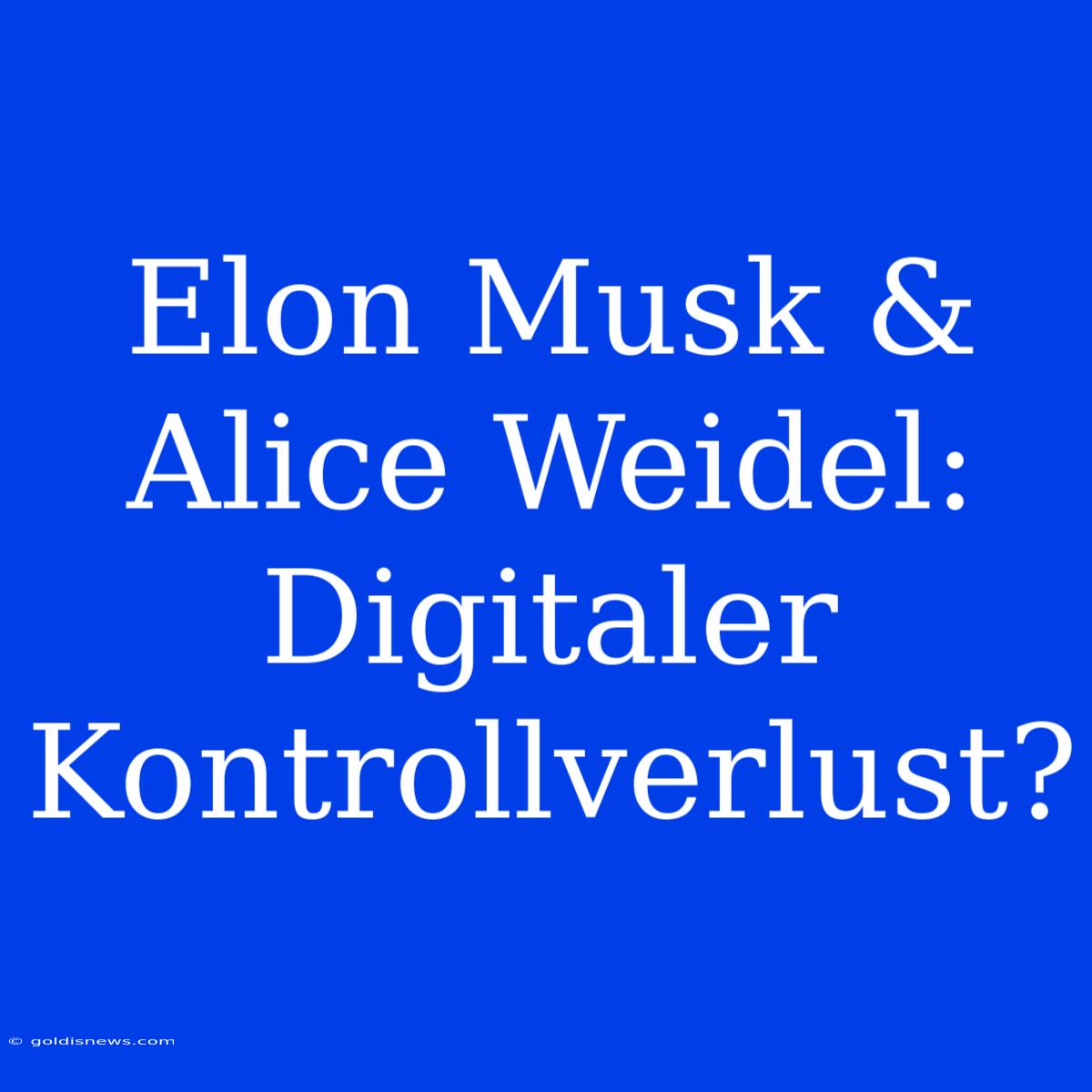 Elon Musk & Alice Weidel: Digitaler Kontrollverlust?