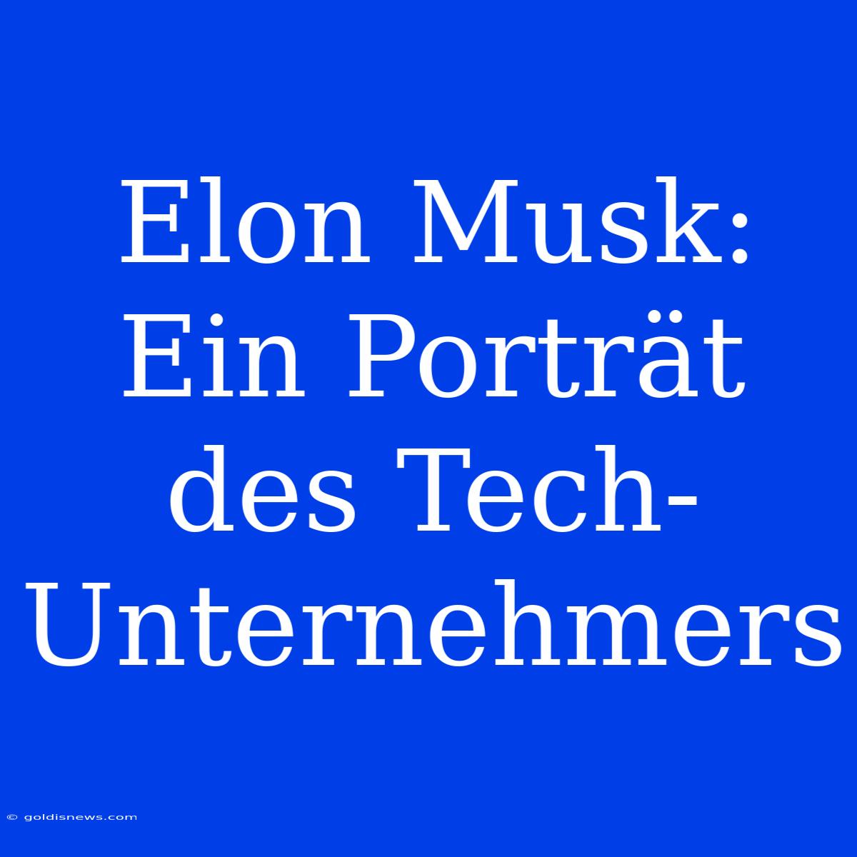 Elon Musk: Ein Porträt Des Tech-Unternehmers