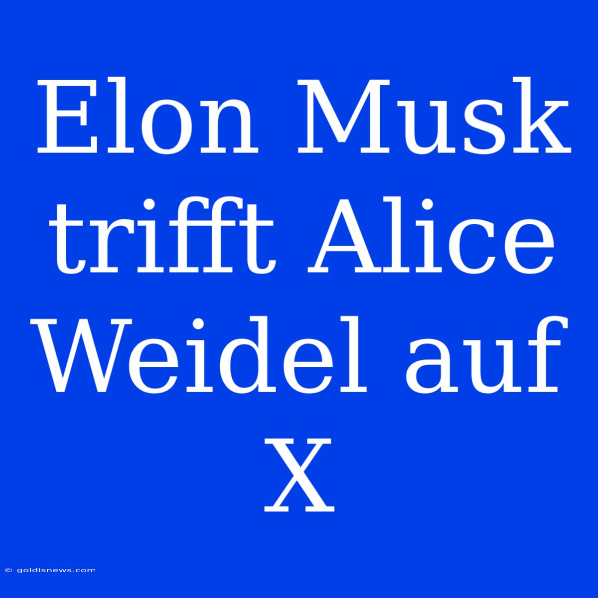 Elon Musk Trifft Alice Weidel Auf X