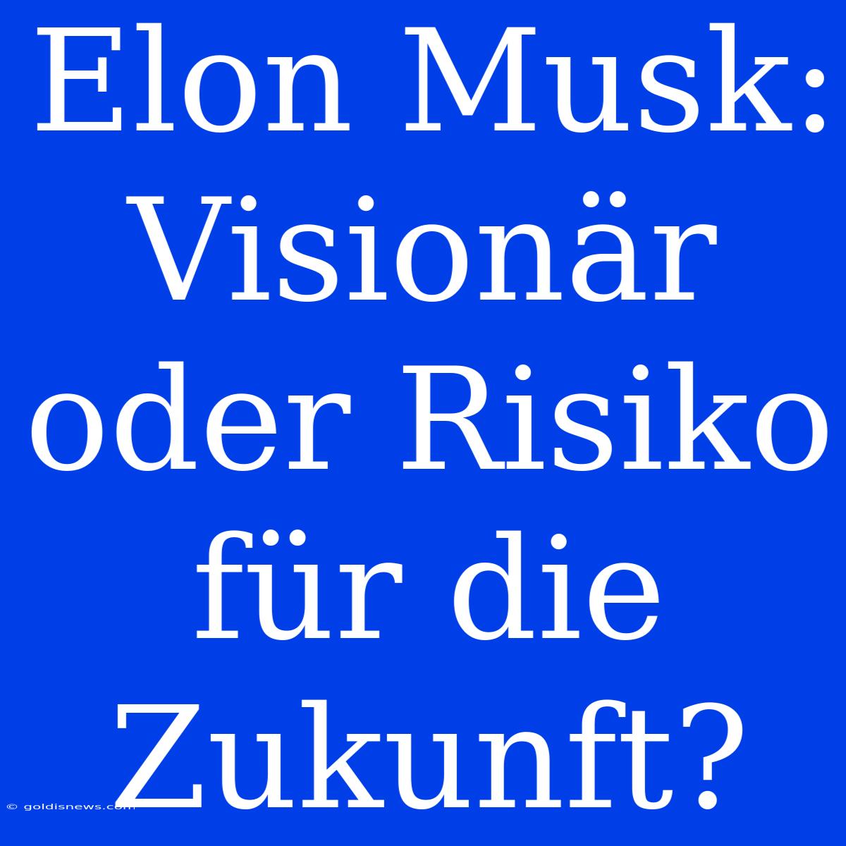 Elon Musk: Visionär Oder Risiko Für Die Zukunft?