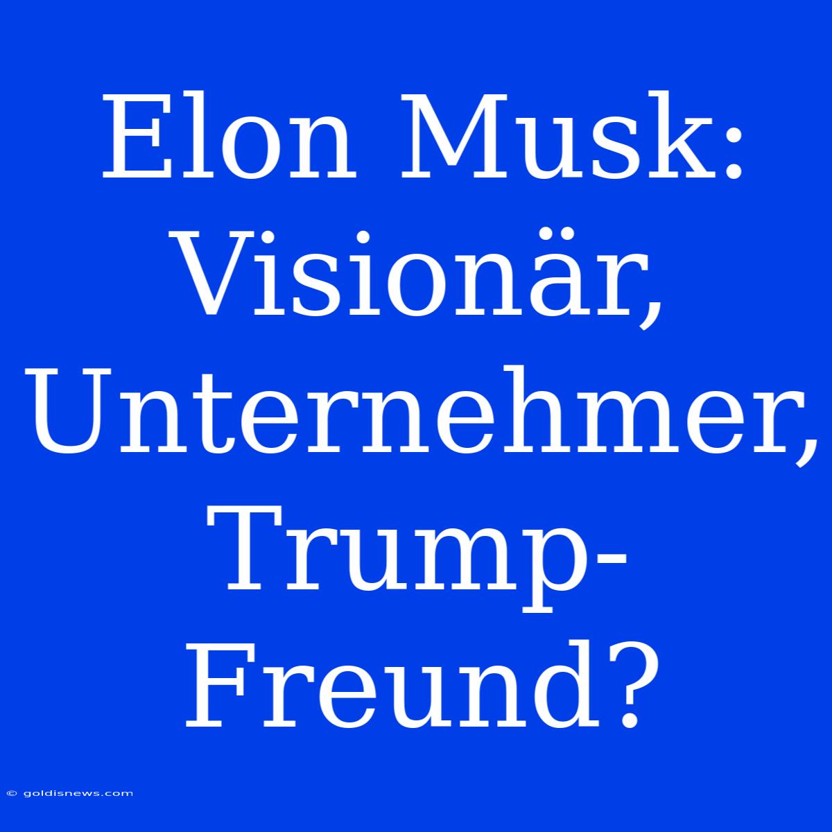 Elon Musk: Visionär, Unternehmer, Trump-Freund?