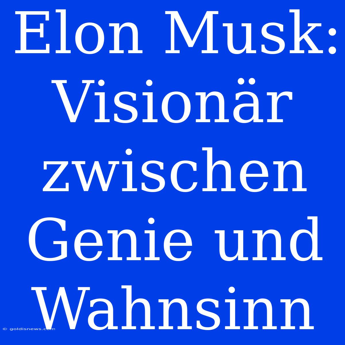 Elon Musk:  Visionär Zwischen Genie Und Wahnsinn