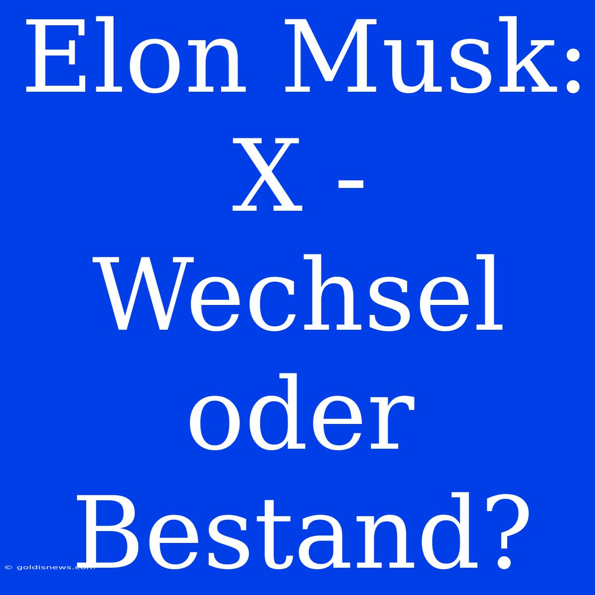 Elon Musk: X -  Wechsel Oder Bestand?