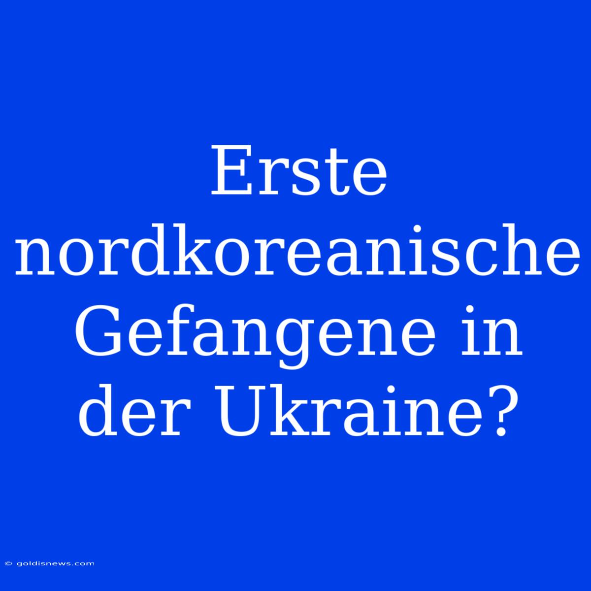 Erste Nordkoreanische Gefangene In Der Ukraine?