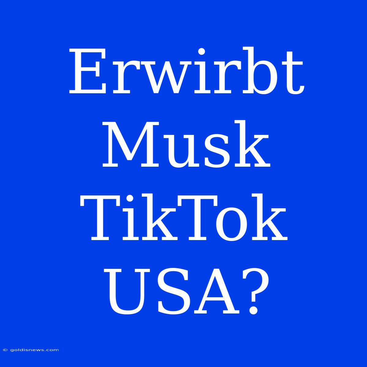 Erwirbt Musk TikTok USA?