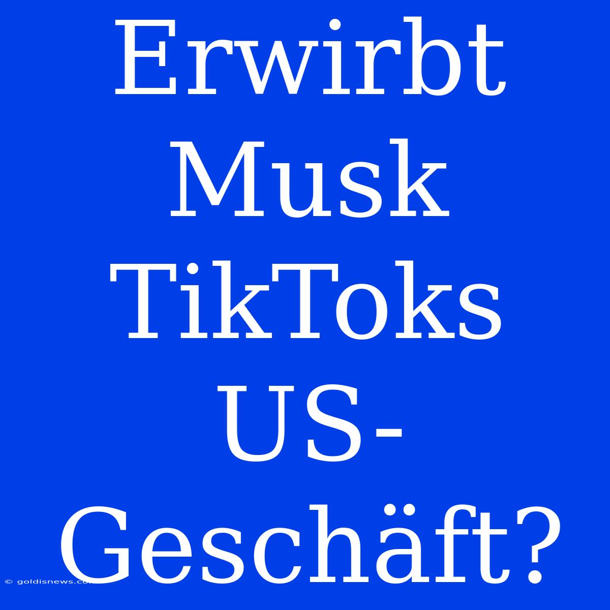 Erwirbt Musk TikToks US-Geschäft?