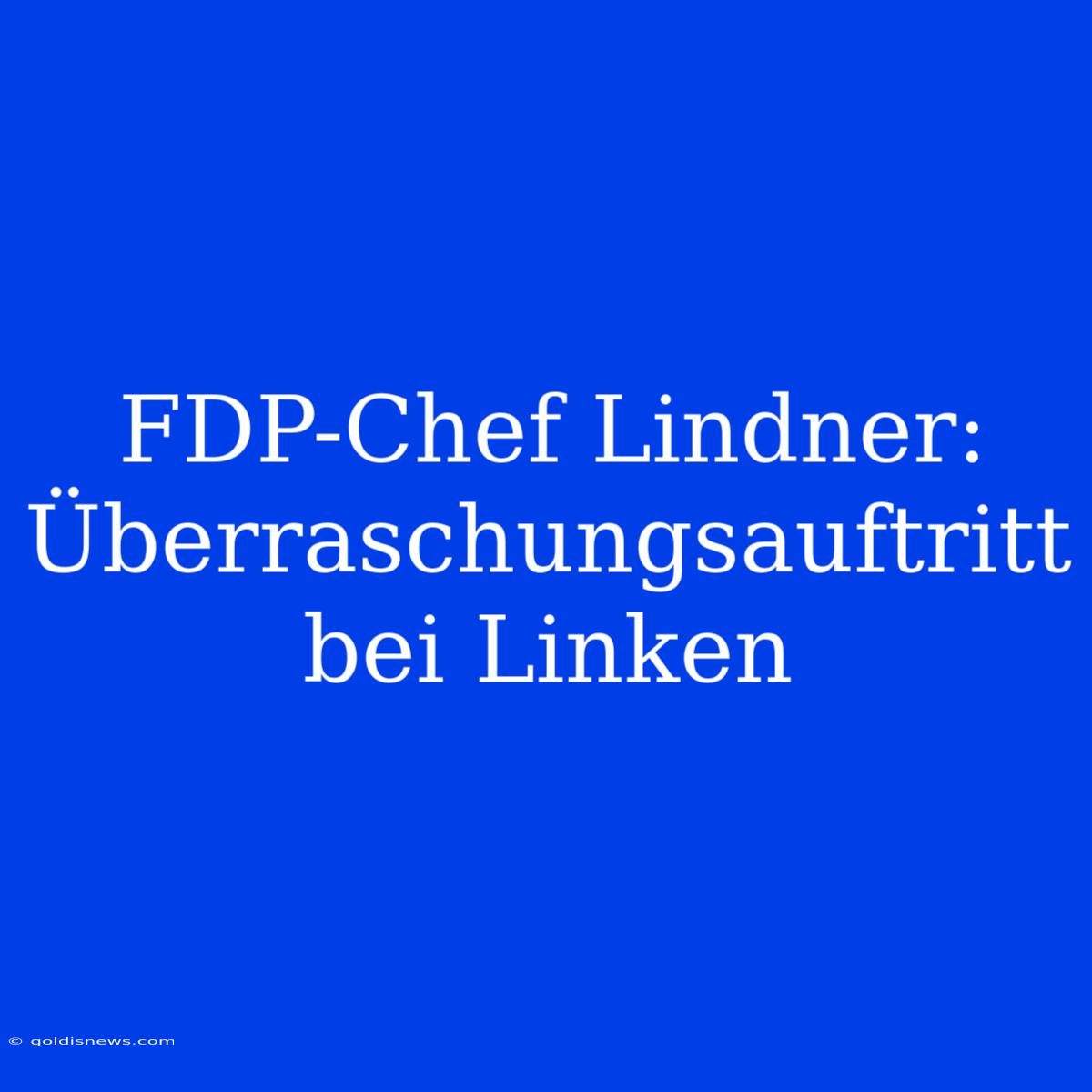 FDP-Chef Lindner: Überraschungsauftritt Bei Linken