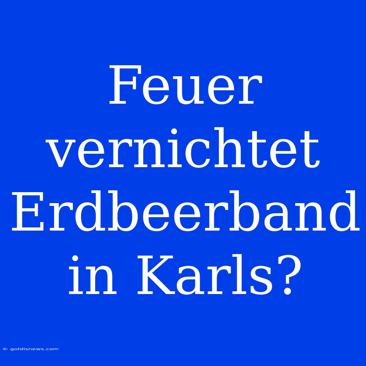 Feuer Vernichtet Erdbeerband In Karls?