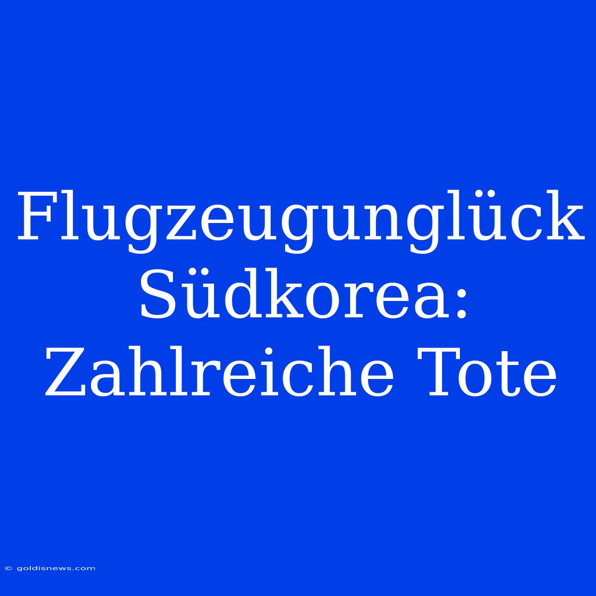 Flugzeugunglück Südkorea: Zahlreiche Tote