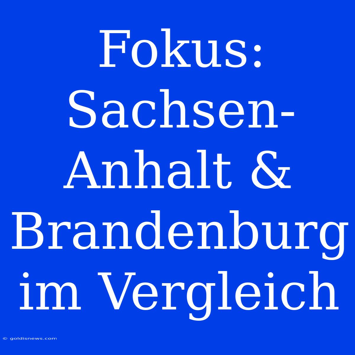 Fokus: Sachsen-Anhalt & Brandenburg Im Vergleich