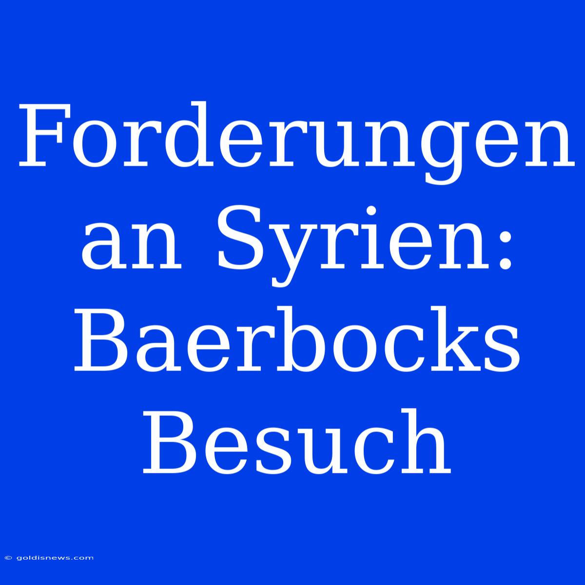 Forderungen An Syrien: Baerbocks Besuch