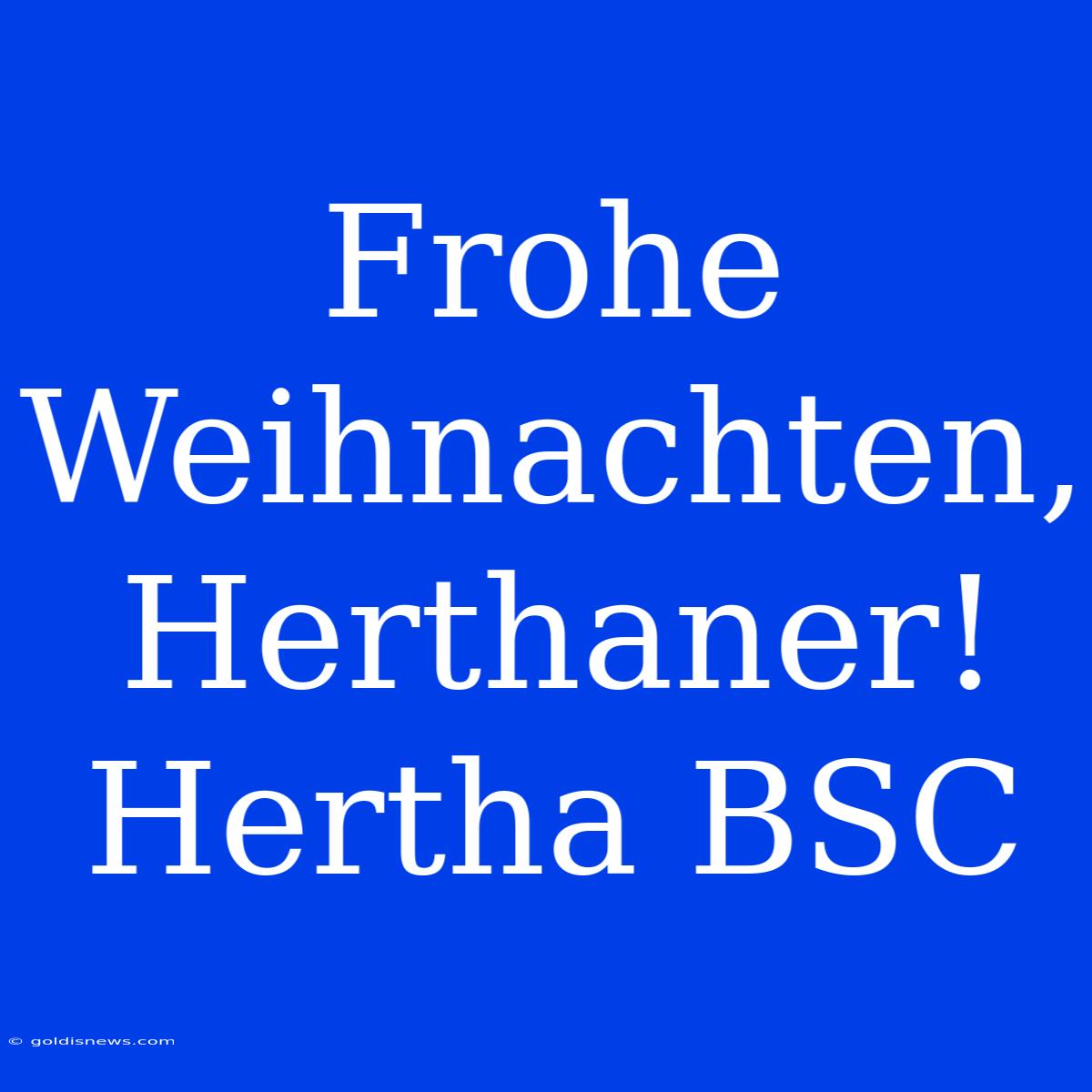 Frohe Weihnachten, Herthaner! Hertha BSC