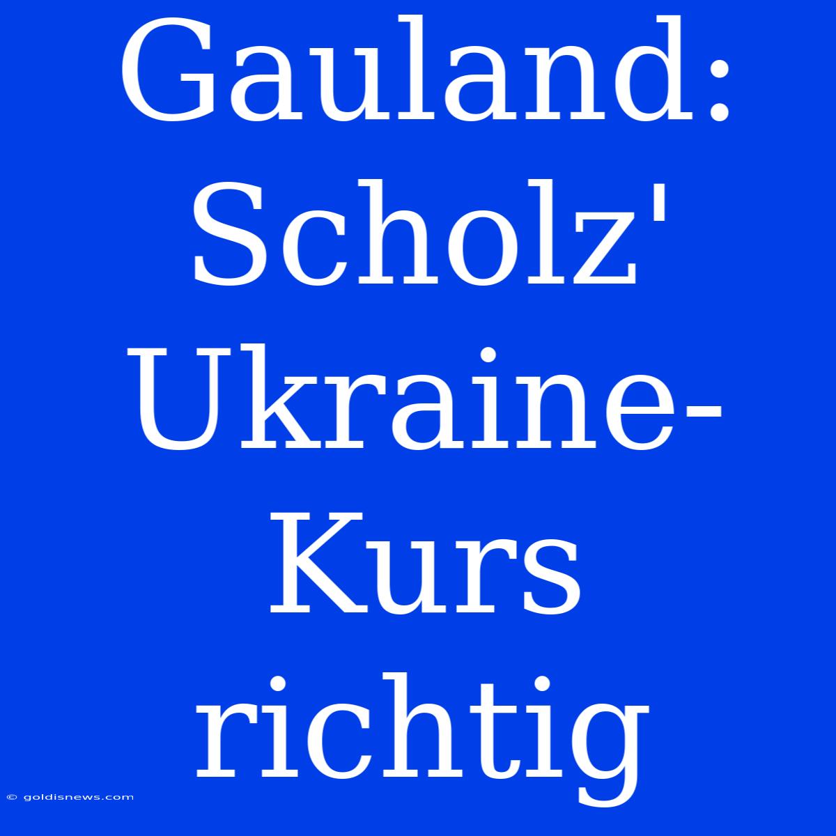 Gauland: Scholz' Ukraine-Kurs Richtig