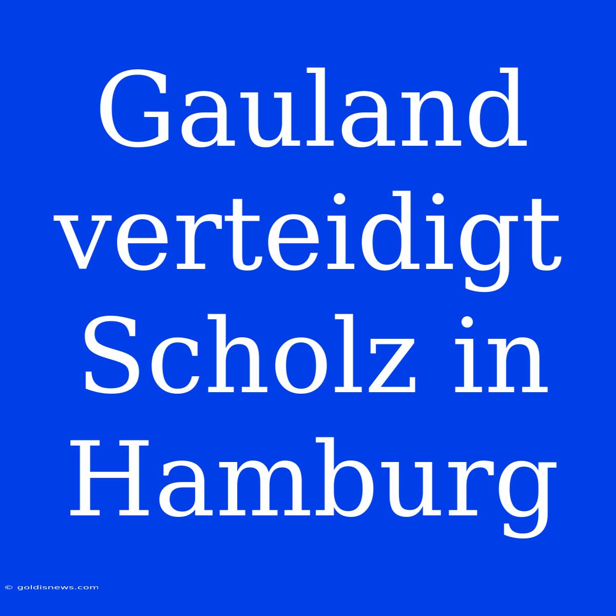 Gauland Verteidigt Scholz In Hamburg