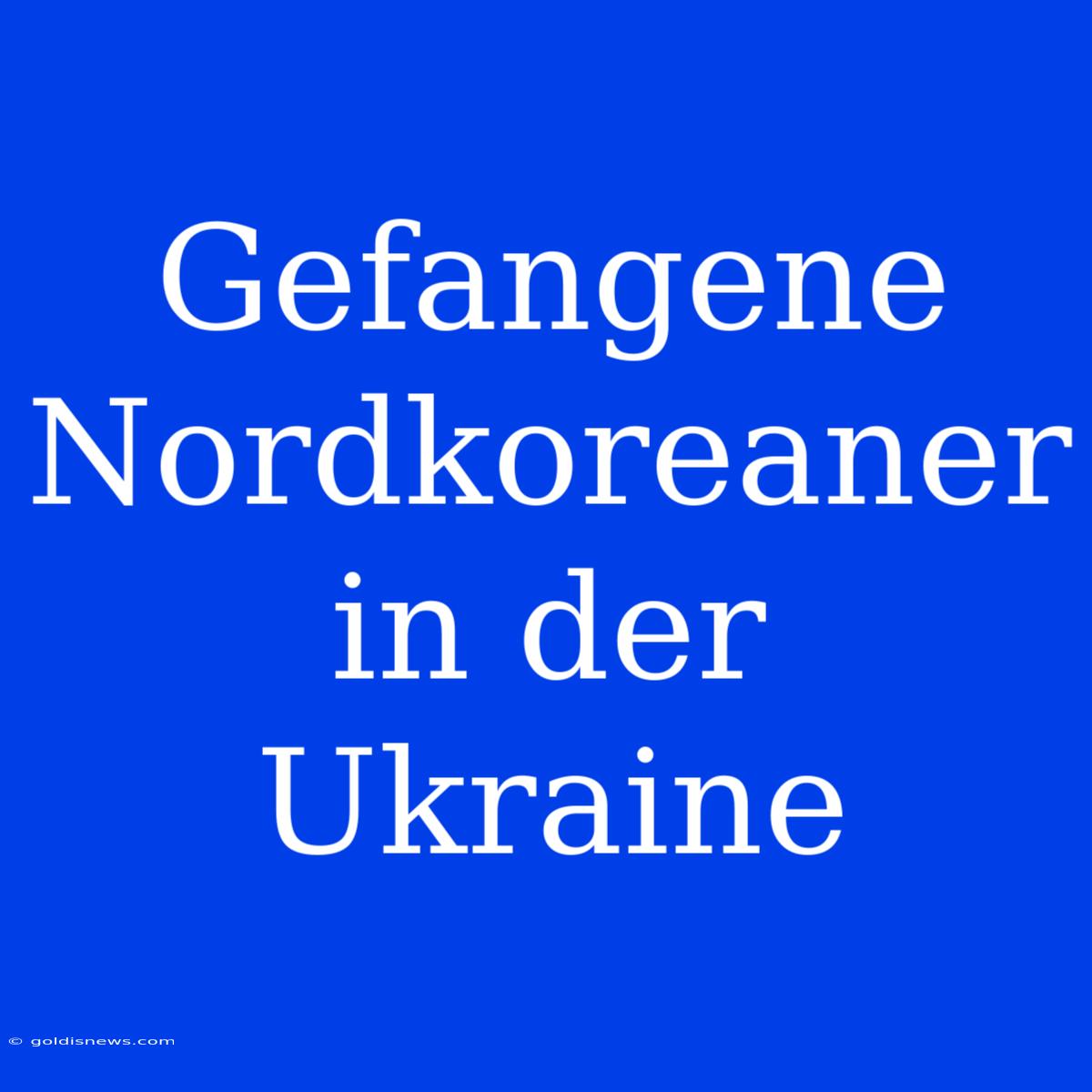 Gefangene Nordkoreaner In Der Ukraine