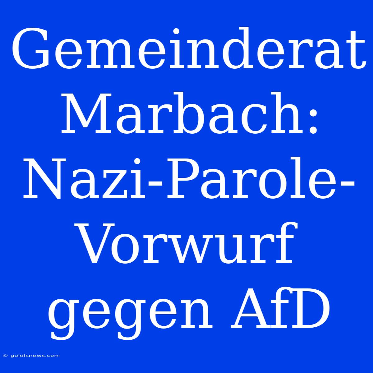 Gemeinderat Marbach: Nazi-Parole-Vorwurf Gegen AfD