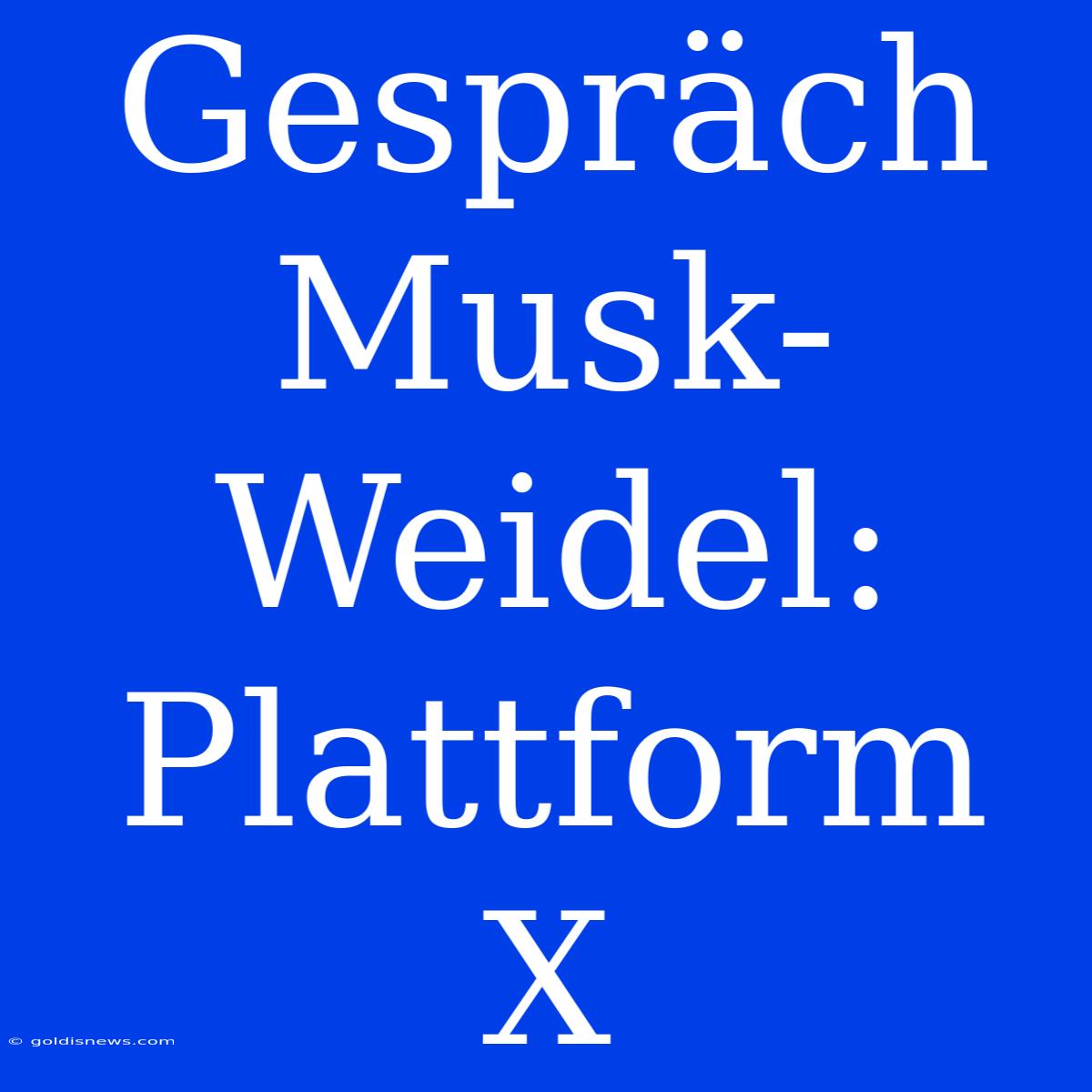 Gespräch Musk-Weidel:  Plattform X