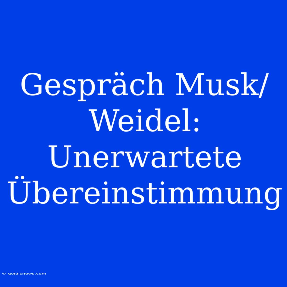 Gespräch Musk/Weidel:  Unerwartete Übereinstimmung