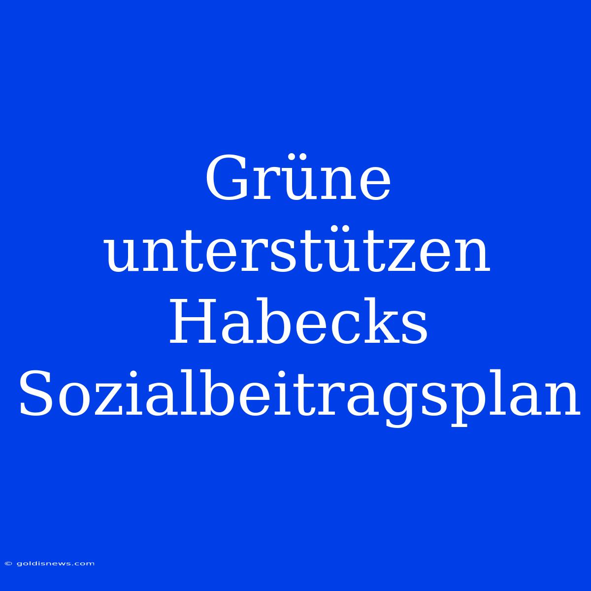 Grüne Unterstützen Habecks Sozialbeitragsplan