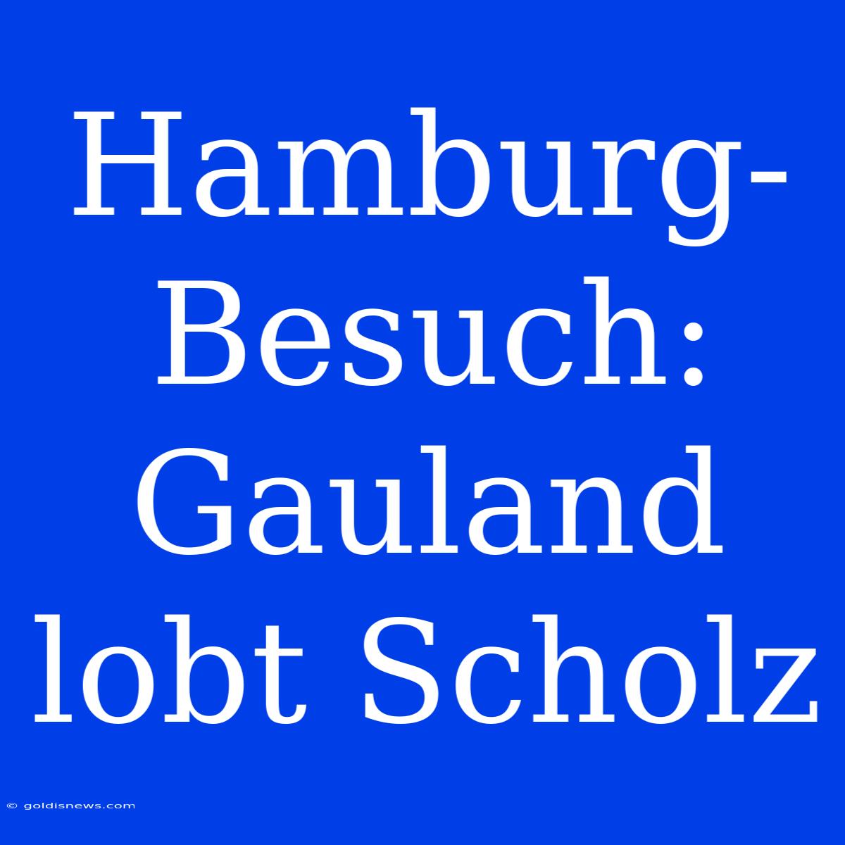 Hamburg-Besuch: Gauland Lobt Scholz