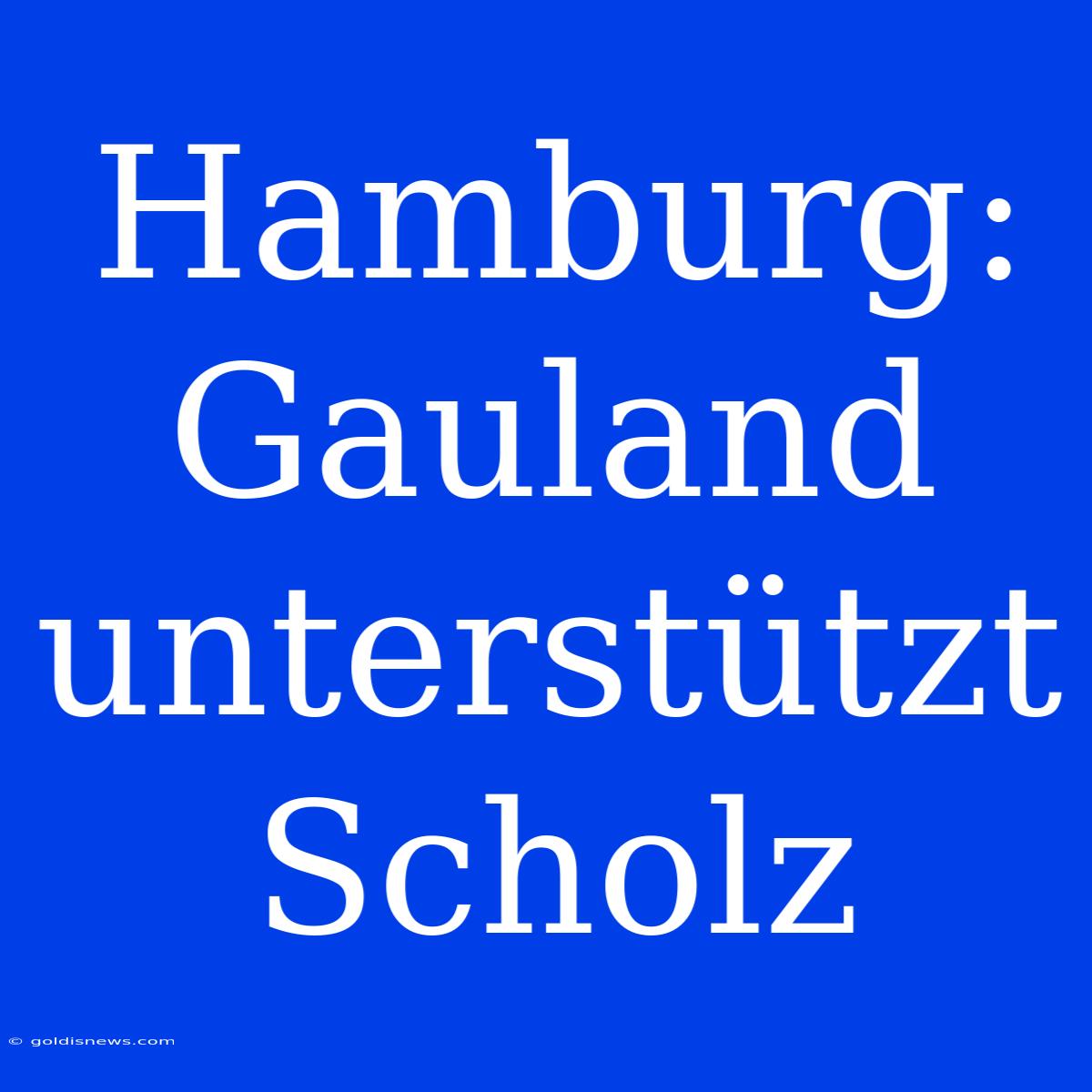 Hamburg: Gauland Unterstützt Scholz