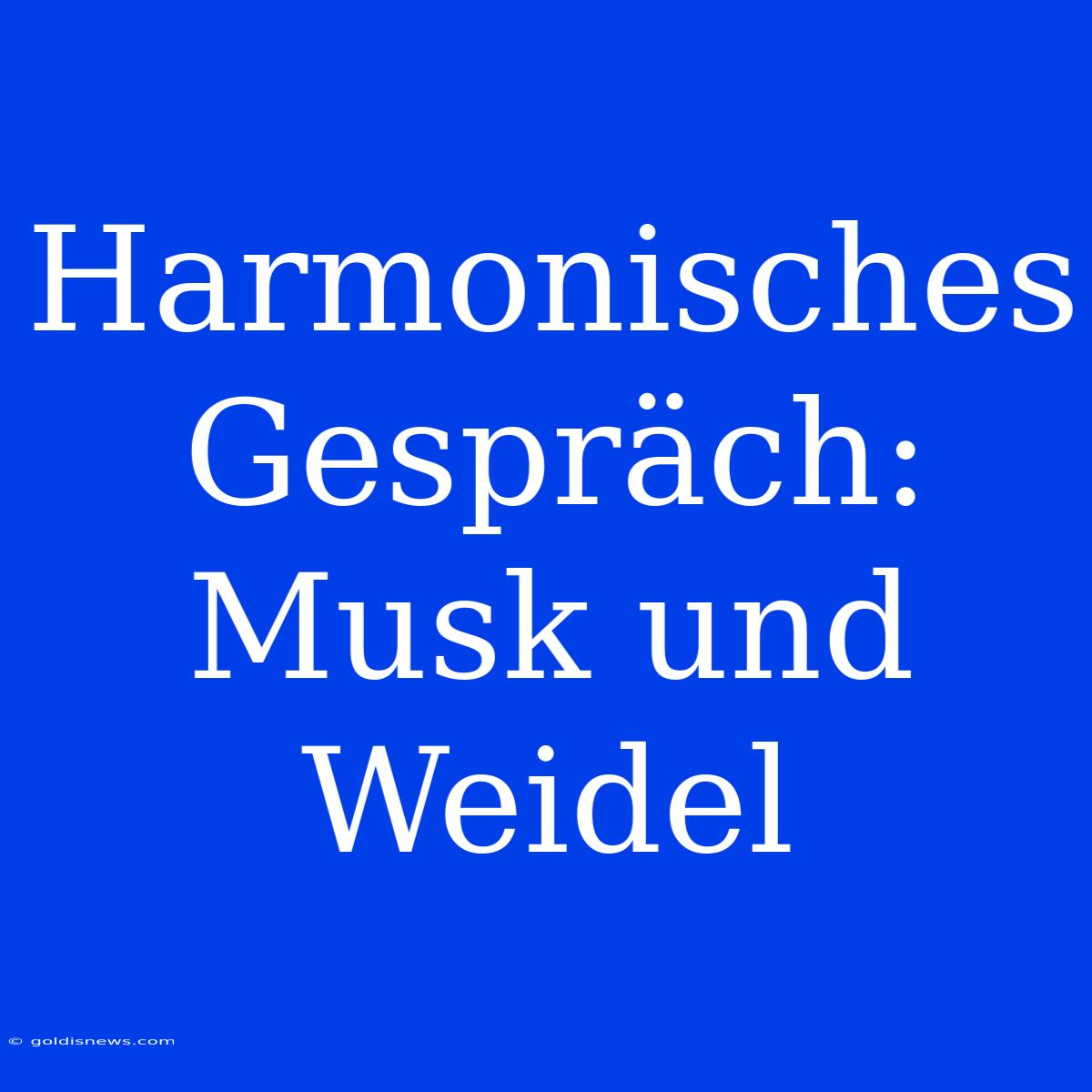 Harmonisches Gespräch: Musk Und Weidel