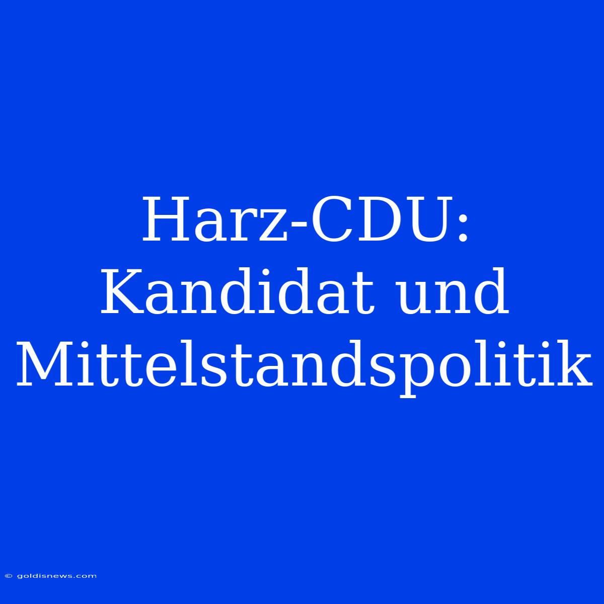 Harz-CDU: Kandidat Und Mittelstandspolitik